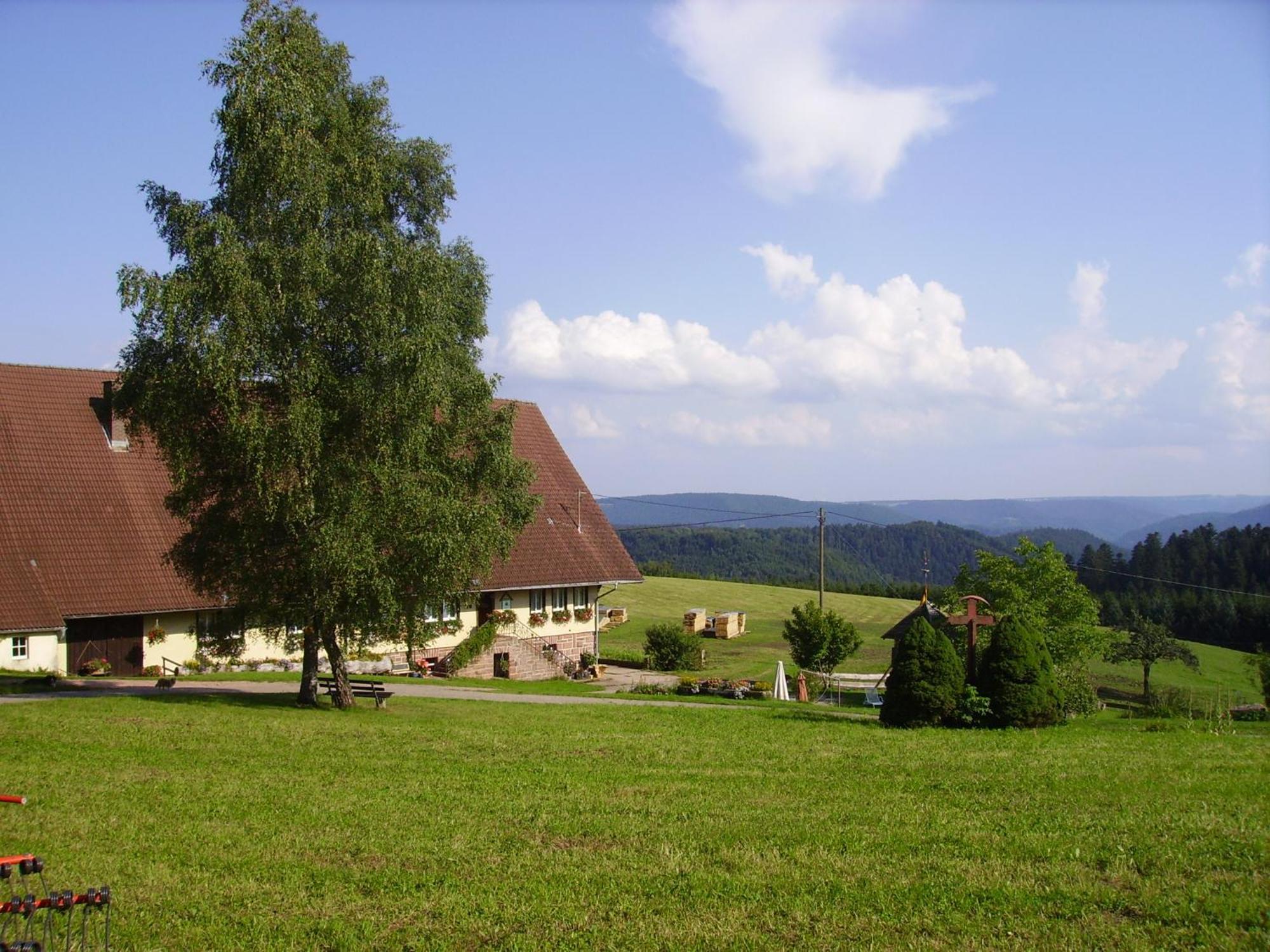Aeckerhof Βίλα Wolfach Εξωτερικό φωτογραφία